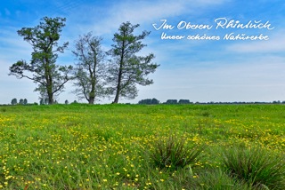 Foto von einem Erlentrio. Titelbild des Naturfotobuchs