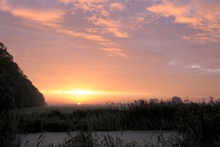 Sonnenaufgang im Luch, Foto: Detlef Hase Sonnenaufgang im Luch